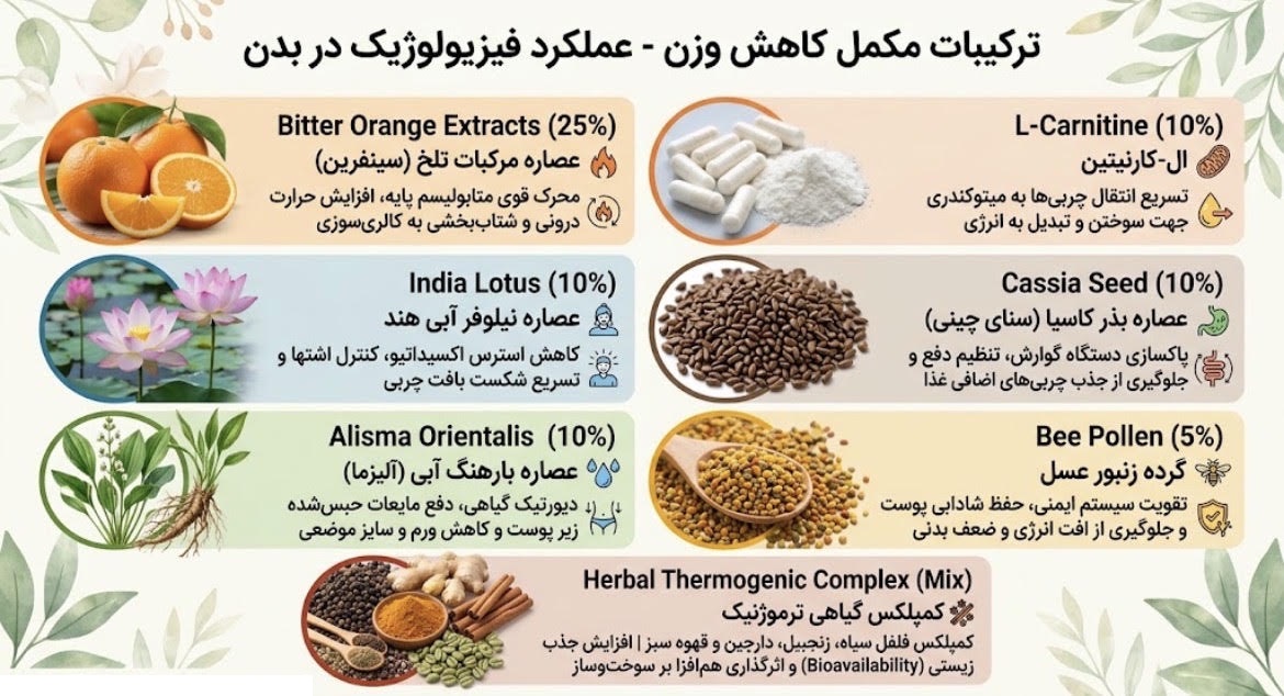 ترکیبات قرص لاغری پلاتین طلایی